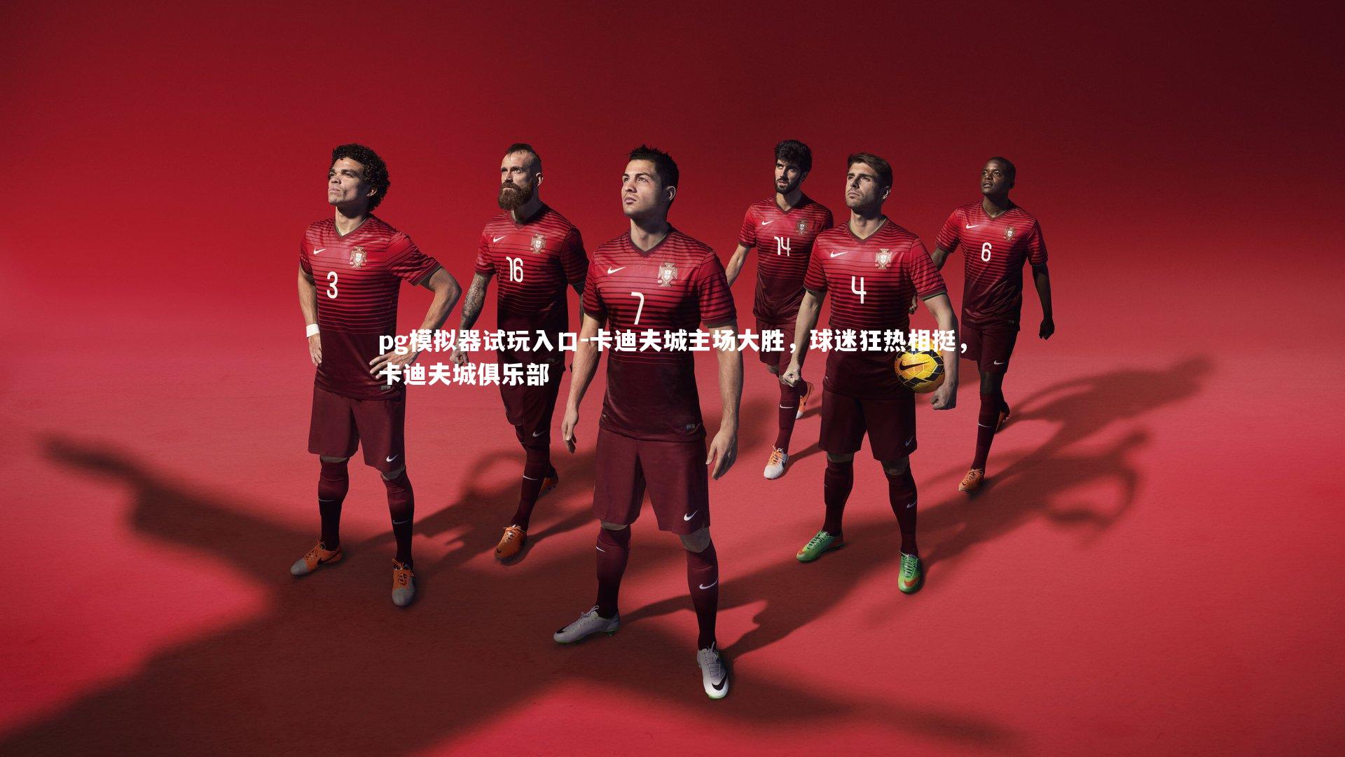 卡迪夫城主场大胜,球迷狂热相挺,卡迪夫城俱乐部